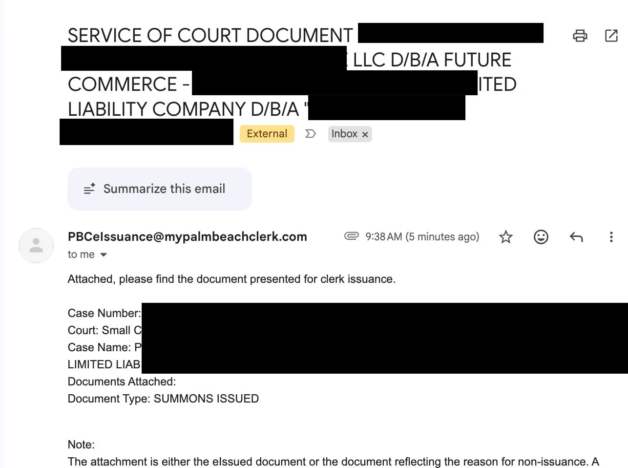 Screenshot of the Palm Beach County Clerk's email showing a small-claims summons was issued, with case details redacted